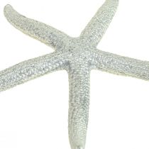 Estrella de mar plateada decoración marítima estrella de mar decoración de verano 7,5 cm 10 piezas