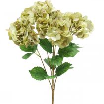 Artículo Ramo de hortensias verde artificial, marrón 5 flores 48cm