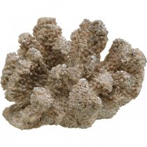 Decoración marinera, animal marino, decoración coral poliresina 13,5x11,5cm