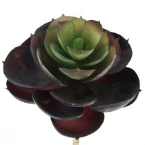 Artículo Suculentas Echeveria Plantas Verdes Artificiales Ø7cm 12cm 6pcs