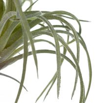 Artículo Tillandsia Suculentas Plantas Verdes Artificiales 13cm