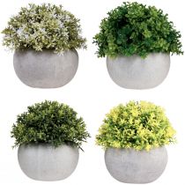 Artículo Plantas artificiales Boj artificial 12,5cmר12cm 4ud