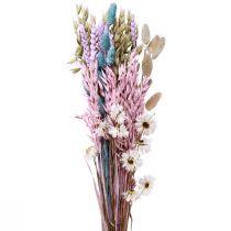 Artículo Ramo de flores secas flores de paja Phalaris grano 58cm