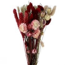 Artículo Ramo de flores secas flores de paja Phalaris rojo 30cm