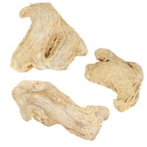 Artículo Jengibre Seco Decoración Natural Decoración 500g