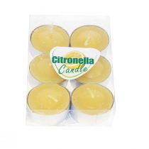 Vela perfumada vela de citronela, velas de té de citronela Ø3.5cm H1.5cm 6 piezas