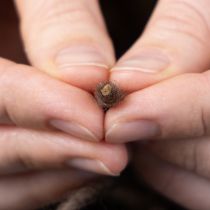 Artículo Hilo de mecha, cordón de lana, marrón, 55m cuerda decorativa para floristería y manualidades