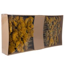 Artículo Flores secas de milenrama amarilla Achillea Natur Gelb 1 kg