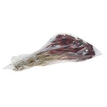 Artículo Achillea vino tinto 1kg