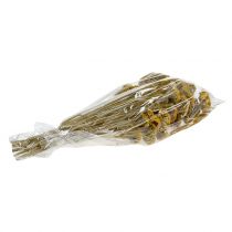 Artículo Aquilea 500g natural