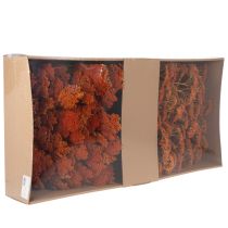 Artículo Flores secas de Achillea Orange, milenrama, 45-60 cm, 1 kg