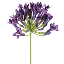 Artículo Flores artificiales de agapanto, lirios morados decorativos, 75 cm, 2 unidades