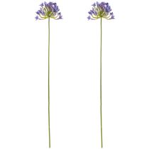 Artículo Agapanthus Lirio Africano Flores Artificiales Púrpura L75cm 2pcs
