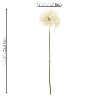 Artículo Flor artificial Allium, diseño delicado para uso interior, 68cm