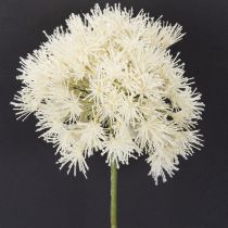 Artículo Flor artificial Allium, diseño delicado para uso interior, 68cm
