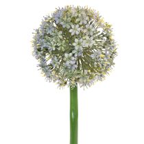 Artículo Rama artificial de Allium con flores, aspecto realista, 90 cm