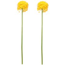 Artículo Cebolla Artificial Flor Amarilla Allium 80cm Ø14,5cm 2uds