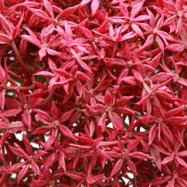 Artículo Allium en Burdeos ajo ornamental artificial Ø18cm L90cm