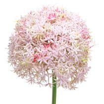 Artículo Allium con flores rosas cebolla artificial Ø18cm L90cm
