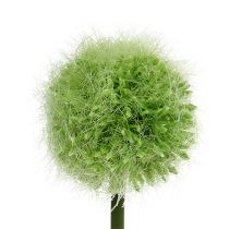 Allium verde L37.5cm 4 piezas