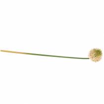 Artículo Allium ornamental rosa artificial / verde Ø8cm 58cm
