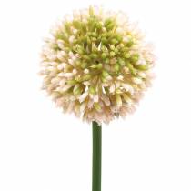 Artículo Allium ornamental rosa artificial / verde Ø8cm 58cm