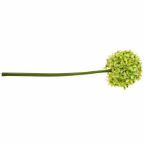Artículo Cebolla ornamental Allium, flor de seda, bola artificial puerro verde Ø20cm L72cm