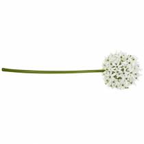 Artículo Flor decorativa Allium, puerro bola artificial, cebolla ornamental blanca Ø20cm L72cm