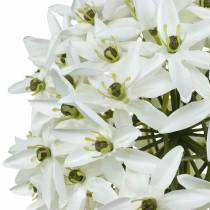Artículo Flor decorativa Allium, puerro bola artificial, cebolla ornamental blanca Ø20cm L72cm