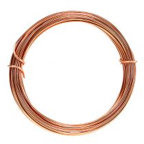 Artículo Alambre aluminio 2mm 100g 12m cobre