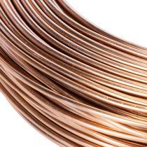 Artículo Alambre de aluminio de 2 mm para floristería y manualidades, 60 m, 500 g