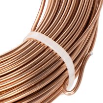 Artículo Alambre de aluminio de 2 mm para floristería y manualidades, 60 m, 500 g