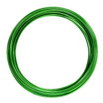 Artículo Hilo de aluminio 2mm 100g verde manzana