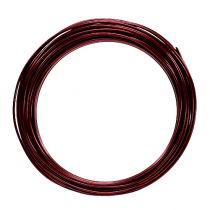 Artículo Alambre de aluminio 2mm 100g Burdeos