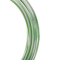 Artículo Hilo de aluminio 2mm 100g verde menta