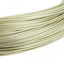 Artículo Alambre de aluminio Ø1mm alambre para joyería champán redondo 120g