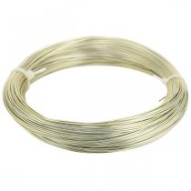 Artículo Alambre de aluminio Ø1mm alambre para joyería champán redondo 120g