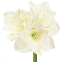 Artículo Amaryllis flores navideñas artificiales L55cm blanco 2ud