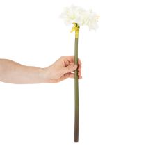 Artículo Flor artificial de amarilis, blanca, con tallo, Adviento y Navidad, 50 cm