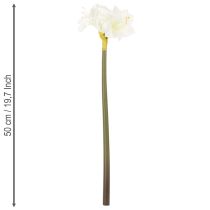 Artículo Flor artificial de amarilis, blanca, con tallo, Adviento y Navidad, 50 cm