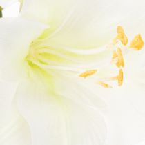 Artículo Flor artificial de amarilis, blanca, con tallo, Adviento y Navidad, 50 cm