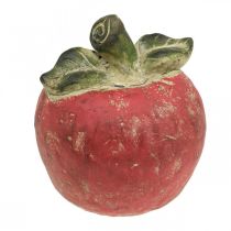 Artículo Manzana decorativa, otoño, decoración de mesa, hormigón H17cm Ø15cm