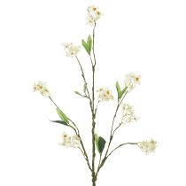 Artículo Rama de flor de manzano, rama de flores artificiales, blanca, 65 cm, 1 pieza