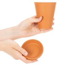 Artículo Depósito de agua Aquasafe con bebedero para insectos para jardín, balcón, terraza, 12 cm, 3 unidades