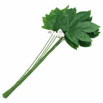 Artículo Hoja de aralia con tallo verde L61.5cm 12pcs