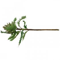 Artículo Alcachofa Alcachofa Verde Deco Otoño Ø7.5cm H43cm