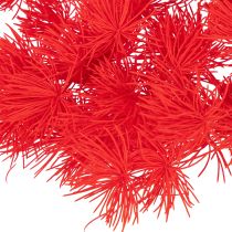 Artículo Manojo de espárragos secos para arreglos florales, 65 cm, 80 g