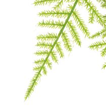 Artículo Espárragos artificiales como planta colgante para decoración del hogar de bajo mantenimiento, 75 cm