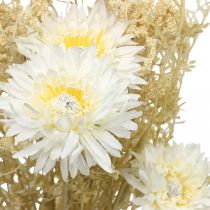 Artículo Ramo artificial de ásteres y gitanos en tonos beige y blanco, perfecto para decoración de bodas y arreglos otoñales, 43 cm.