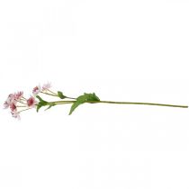 Artículo Flor de seda de Astrania artificial grande Masterwort blanco rosa L61cm